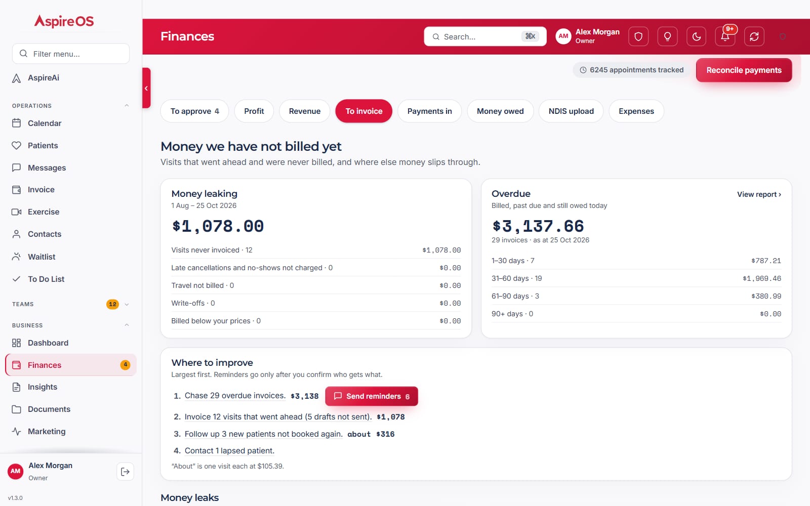 Finances › To invoice: money not billed yet, with a money-leaking panel and a numbered list of where to improve, including sending reminders.