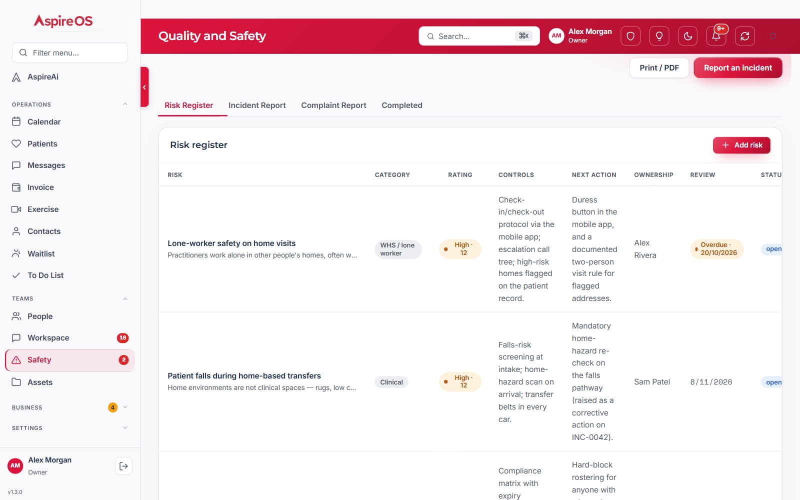 The risk register: each risk with its category, rating, controls, next action, owner, review date and status.